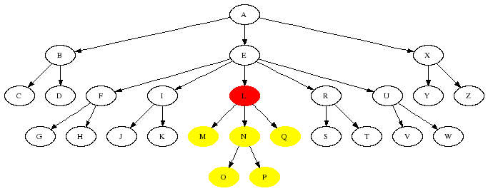 The effect of the descendant axis